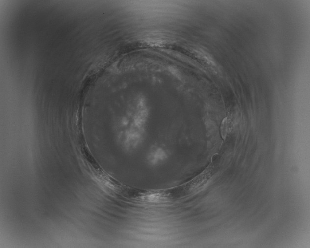 X0000074010365200609061055