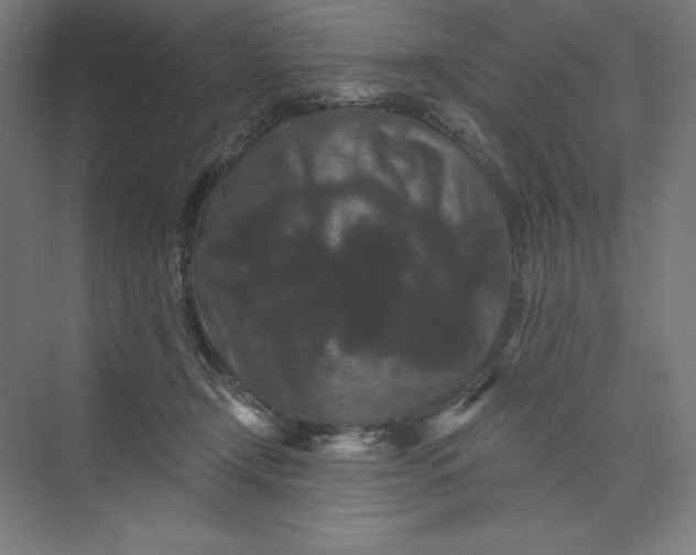 X0000074010366200609061055