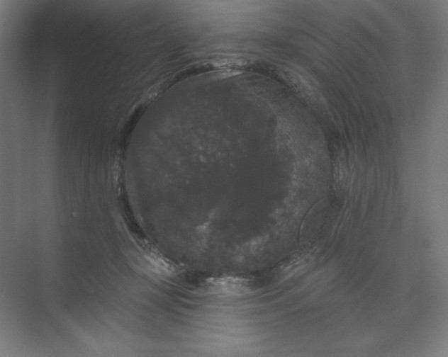 X0000074010367200609061056