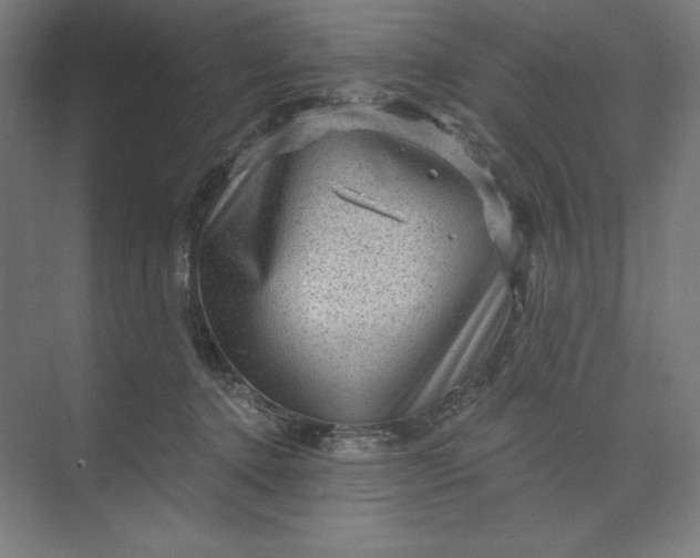 X0000074010368200609061056