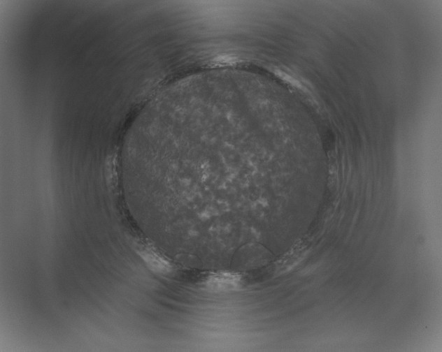 X0000074010369200609061056