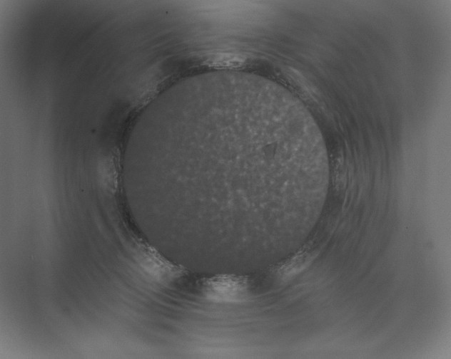 X0000074010370200609061056