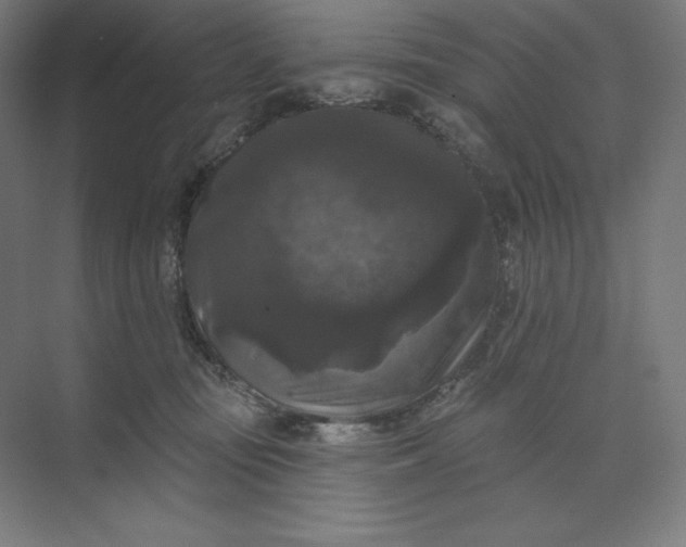 X0000074010371200609061056