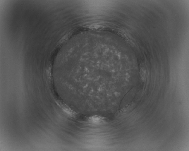 X0000074010375200609061056