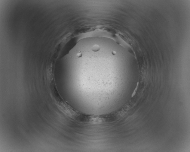 X0000074010376200609061056