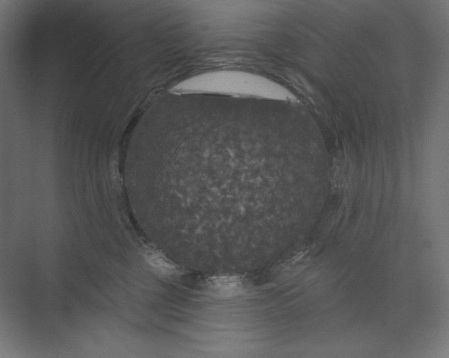 X0000074010377200609061056