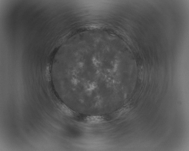 X0000074010378200609061056