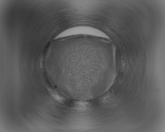 X0000074010379200609061056