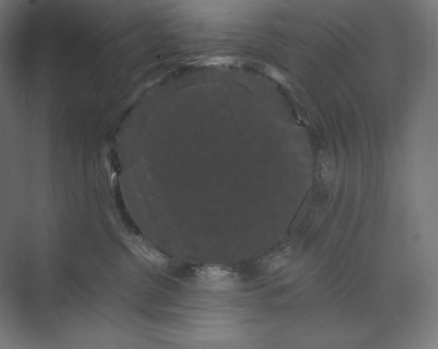 X0000074010380200609061056