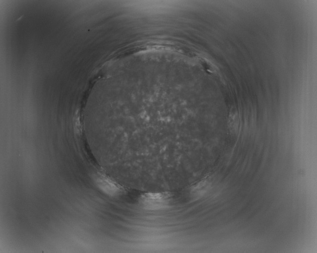 X0000074010381200609061056