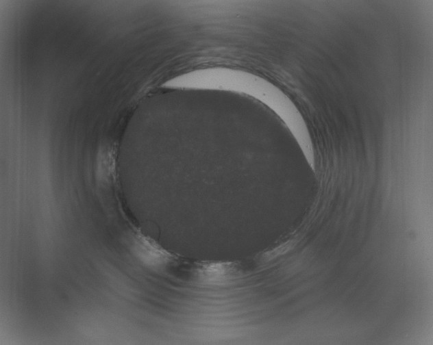 X0000074010382200609061056