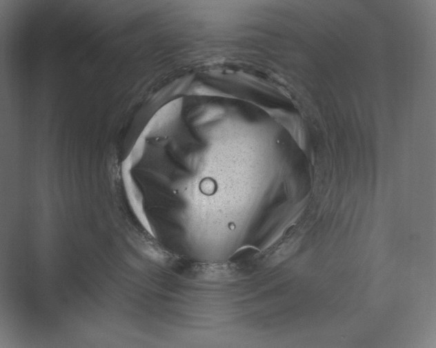 X0000074010384200609061056