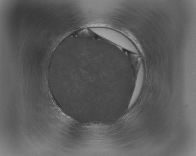 X0000074010385200609061055