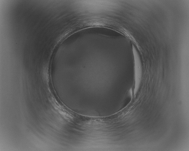 X0000074010386200609061055