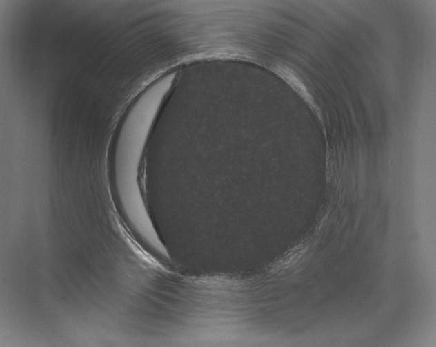 X0000074010389200609061055