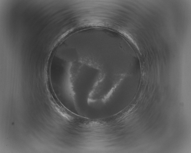 X0000074010390200609061055