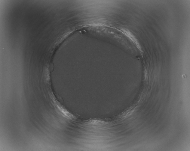 X0000074010393200609061055