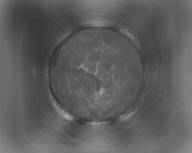 X0000074010394200609061055