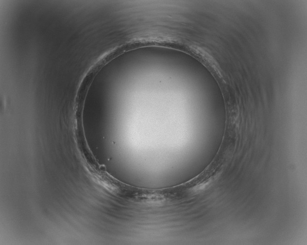 X0000074010395200609061055