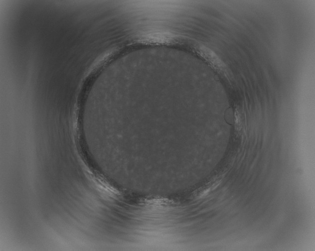 X0000074010396200609061055