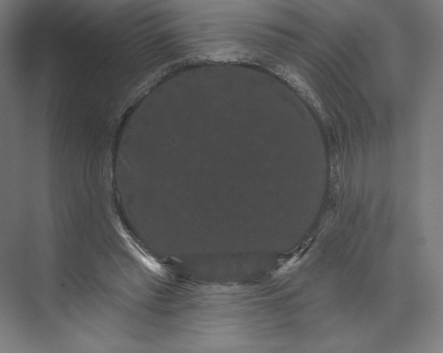 X0000074010397200609061055