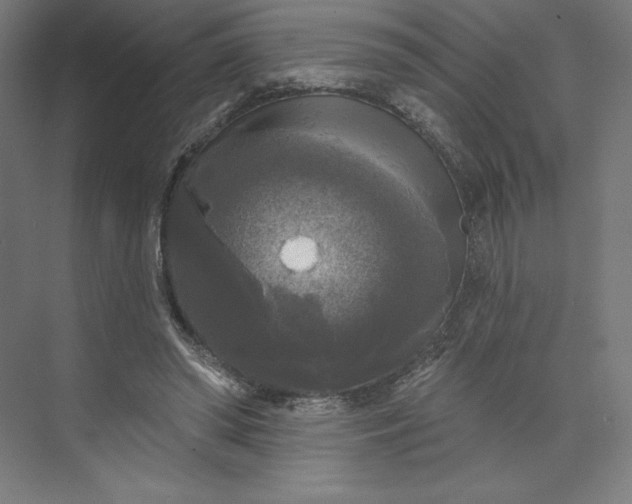 X0000074010398200609061055