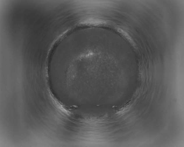 X0000074010399200609061055