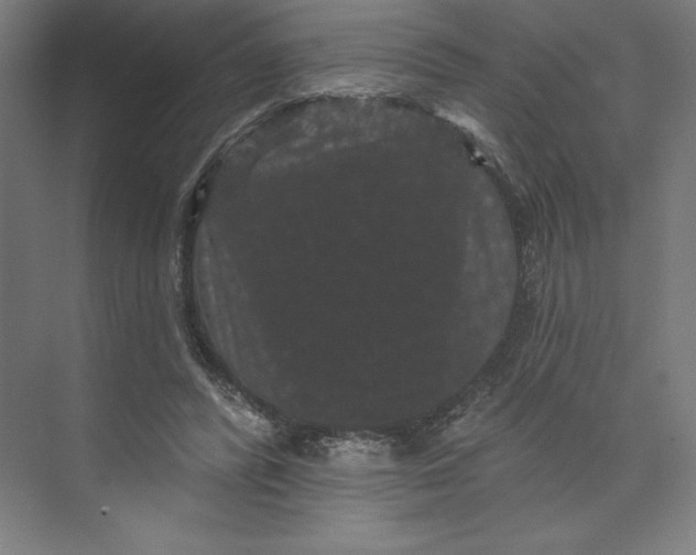 X0000074010400200609061055