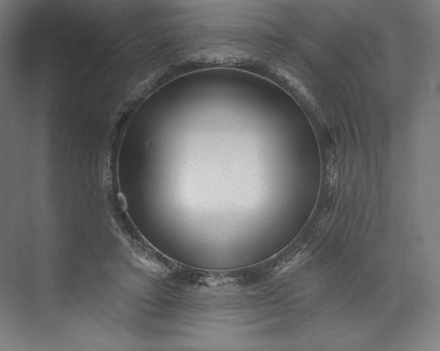 X0000074010403200609061055