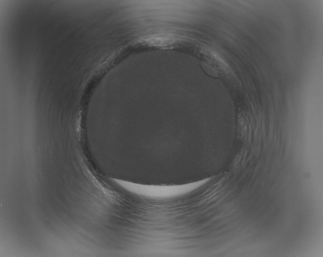 X0000074010404200609061055