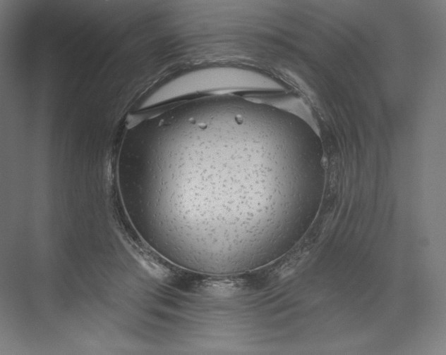 X0000074010405200609061055