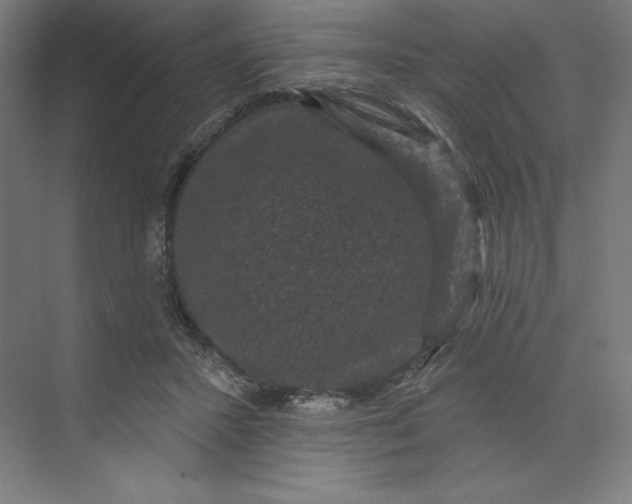 X0000074010407200609061055