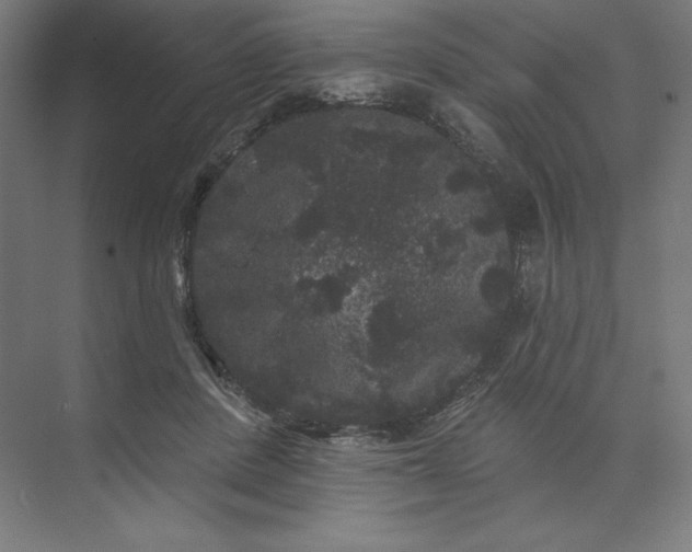 X0000074010408200609061055