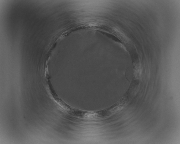 X0000074010410200609061055