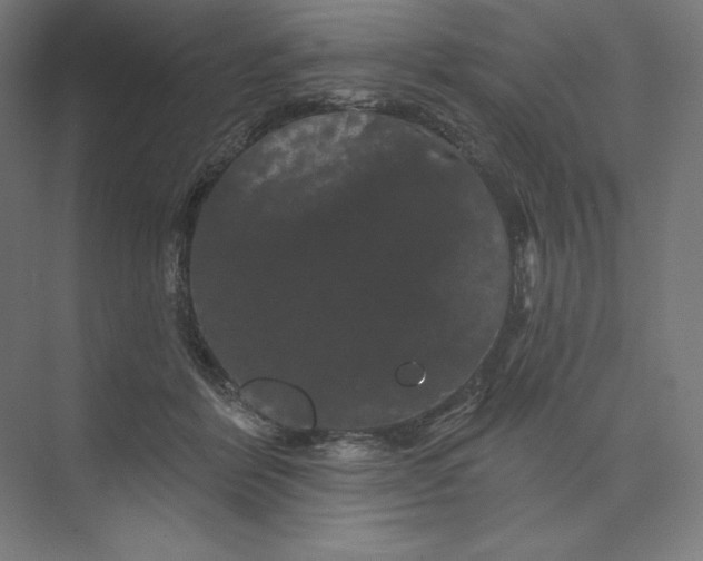 X0000074010412200609061055