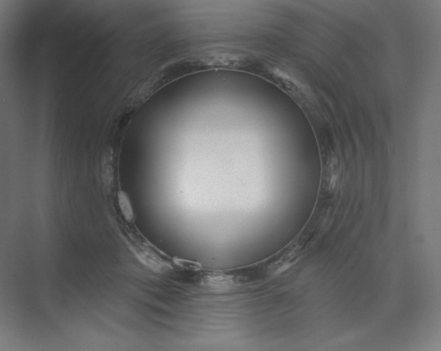 X0000074010413200609061055