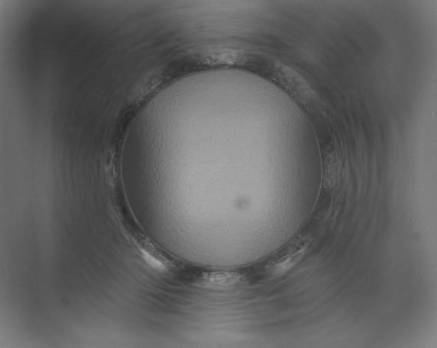 X0000074010414200609061055