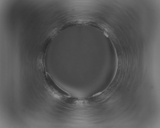 X0000074010415200609061054