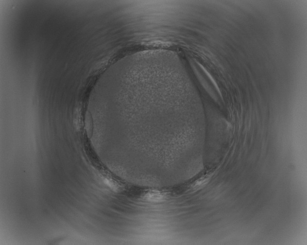 X0000074010416200609061054