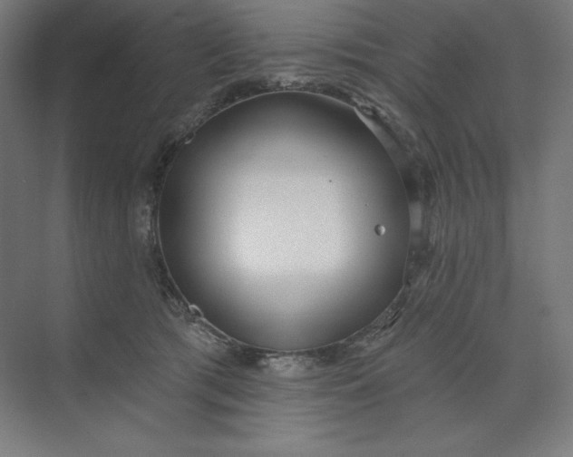 X0000074010417200609061054