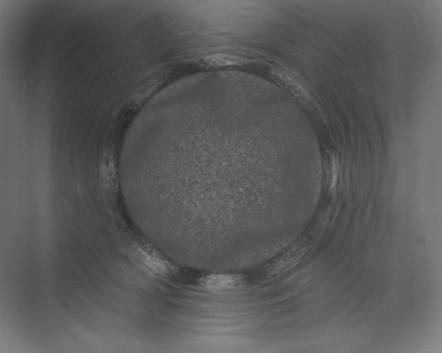 X0000074010418200609061054