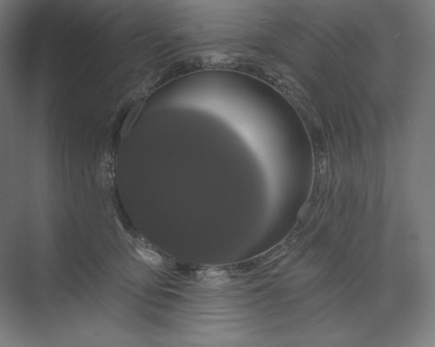 X0000074010419200609061054