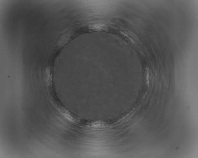 X0000074010420200609061054