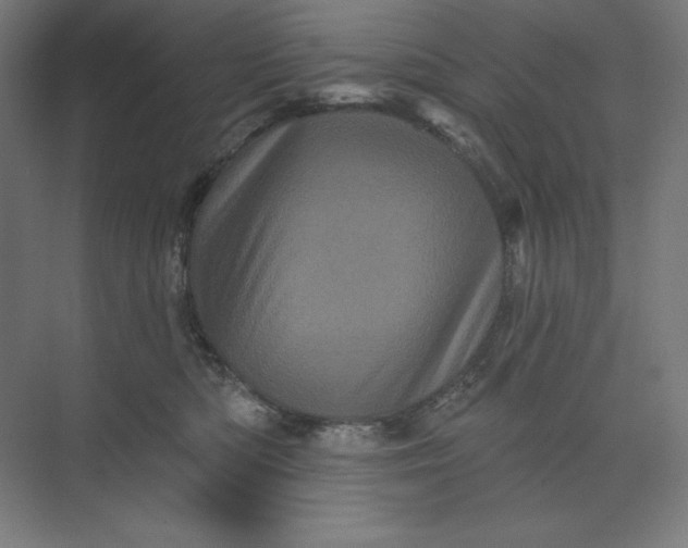 X0000074010422200609061054