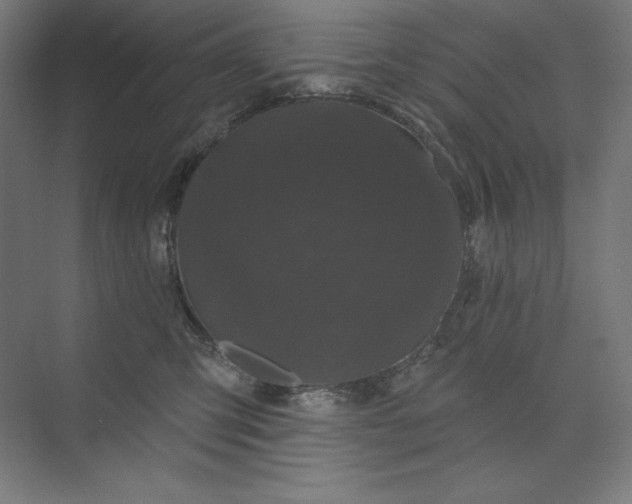 X0000074010423200609061054