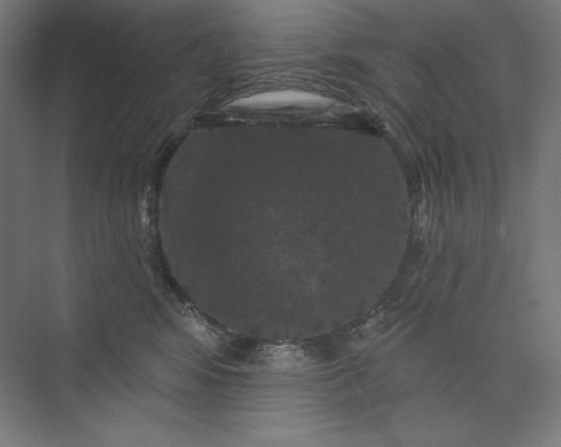 X0000074010424200609061054