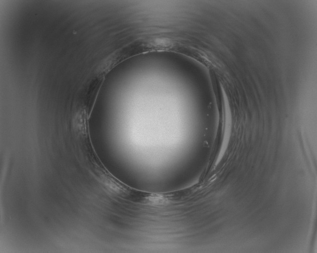 X0000074010425200609061054