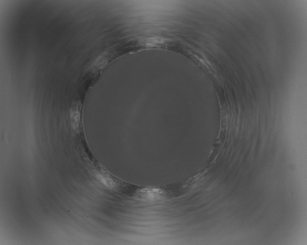 X0000074010427200609061054