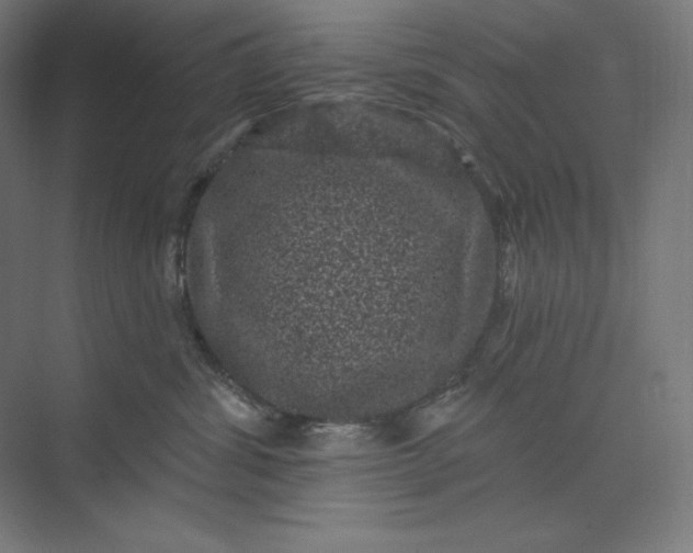 X0000074010428200609061054