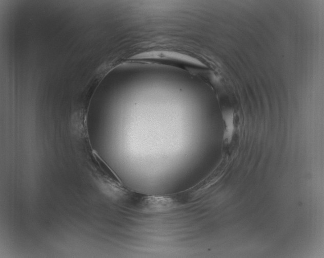 X0000074010429200609061054